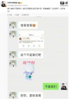 OPPO坚称“超大杯”旗舰不会消失 2025年将推直屏新机
