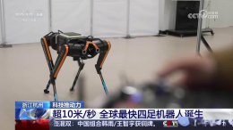 浙江大学研发“黑豹”四足机器人 刷新速度纪录达每秒10米