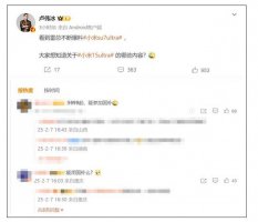 小米15 Ultra能否加入国补？网友齐声期盼高端旗舰享优惠