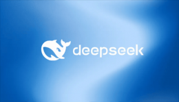 DeepSeek开源行动：小公司大动作 5个代码库即将解锁
