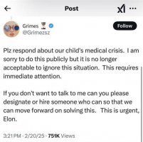 Grimes紧急呼吁马斯克：共同孩子医疗危机 盼速回！