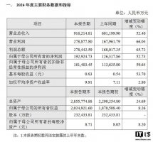 海光信息2024年业绩亮眼：净利润近20亿 增速超五成