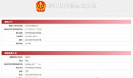 国产CPU企业合芯科技陷危机：业务停摆 高管失联 拖欠薪资