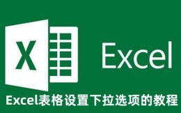 Excel表格下拉选项怎么设置 Excel表格设置下拉选项的教程