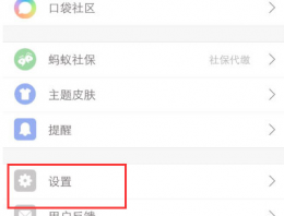 口袋记账怎么自动记账 周期记账设置方法