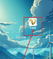 羊城通app办理的学生卡怎样激活 羊城通APP公交学生卡激活方法