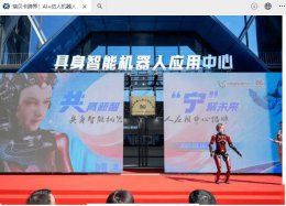 南京启用新应用中心 国内首款26自由度仿人机器人“夏澜”亮相