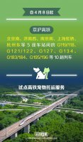 京沪高铁今起试点宠物托运 人宠分离专人看护