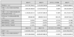 四维图新2024年业绩揭晓：营收增长超一成二 净亏损收窄 智驾智云业务亮眼