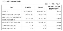 石头科技2025年Q1营收大增86% 净利润下滑三成 新品类表现抢眼