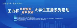 王力安防引领“王力杯”直播创业潮 赋能乡村振兴与青年梦想