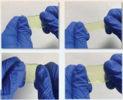 我国新研水凝胶贴片 一贴即知食品新鲜度！