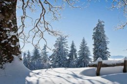 电源管理芯片：电子产品能效背后的智慧“管家”