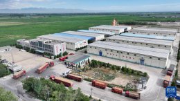 科技赋能夏粮收储 宁夏粮食集团打造智慧储粮新典范