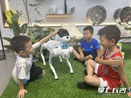 湖南移动东塘营业厅科技升级：导览机器人与机器狗亮相智能服务新场景