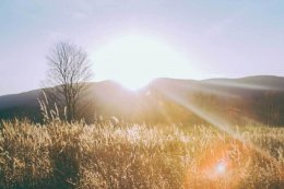 阿里巴巴开源AI大模型Qwen系列 性能媲美国际顶尖 引领AI技术新潮流