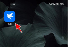 迅雷app怎么改文件后缀 具体操作方法介绍