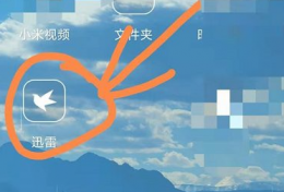 手机迅雷存储路径怎么改 手机迅雷更改存储路径方法