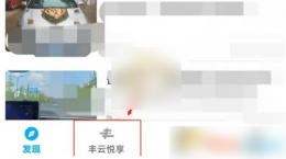 丰云行app怎么查看油耗呀 丰云行app查看油耗方法