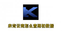 来肯云商怎么查期初数据？来肯云商查期初数据的方法