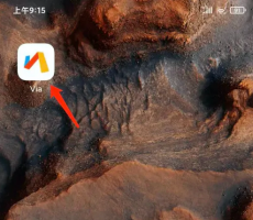 via浏览器怎么改搜索引擎 Via浏览器app切换搜索引擎教程