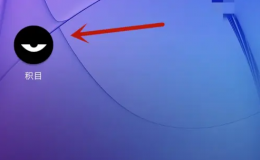 积目id在哪里看 积目ID查看方法