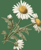 广东法院林晔晗：深挖法治内核 活用传播形式 讲好新时代法治故事