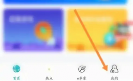 网上国网app交费记录怎么查 网上国网查看缴费记录教程