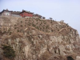 青绿之间见初心：张耀南用一生为泰山织就生态锦绣画卷