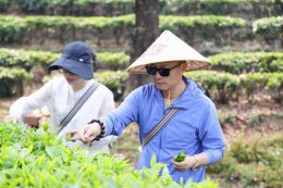 “益起同行·共筑美好”西双版纳茶山行：共赴茶园盛会 助力茶产业新发展