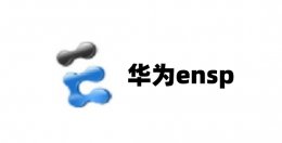 华为ensp如何导入设备包？华为ensp导入设备包的方法