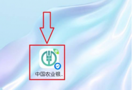 农业银行手机银行限额怎么看 农行掌上银行转账限额如何管理