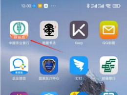 农业银行手机银行可以查征信吗 农行手机银行查征信报告方法介绍