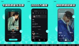 波点音乐可以下载歌曲吗 波点音乐下载歌曲方法